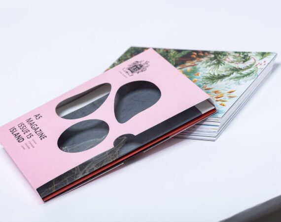 מגזין איילנד מאגד שוכב 13 הודפס בער הדפסות